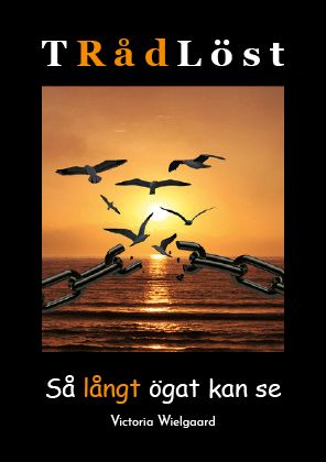 TRådLöst - Så Långt ögat kan se | 0:e upplagan