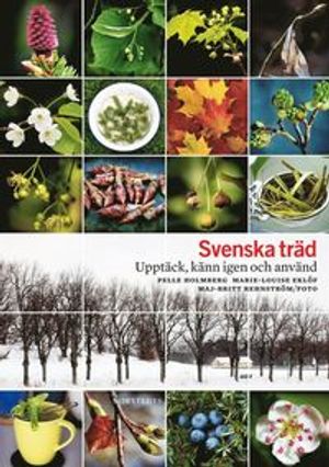 Svenska träd : upptäck, känn igen och använd |  2:e upplagan