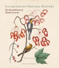 Illuminating Natural History – The Art and Science of Mark Catesby
