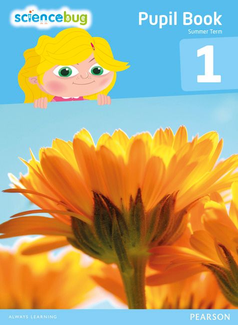 Science Bug Pupil Book Year 1 | 0:e upplagan