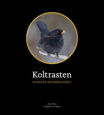 Koltrasten: Sveriges Nationalfågel