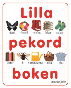 Lilla pekordboken