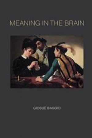 Meaning in the Brain