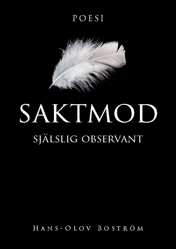 Saktmod : Själslig observant | 1:a upplagan