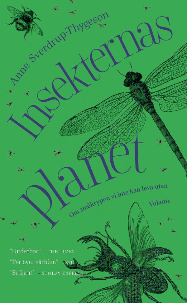 Insekternas planet | 0:e upplagan