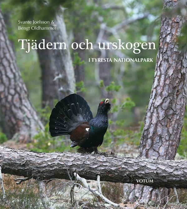Tjädern och urskogen : i Tyresta nationalpark | 0:e upplagan