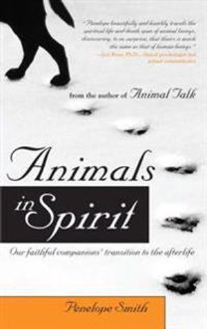 Animals In Spirit