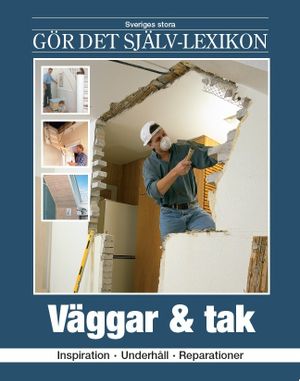 Väggar & tak : inspiration, underhåll, reparationer