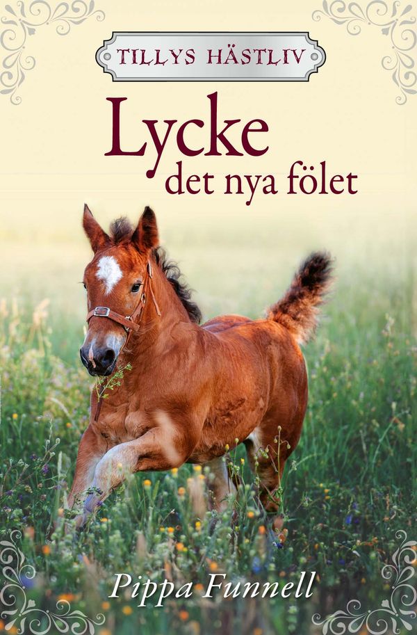 Lycke – det nya fölet | 0:e upplagan
