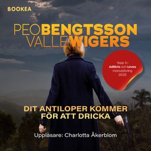 Dit antiloper kommer för att dricka