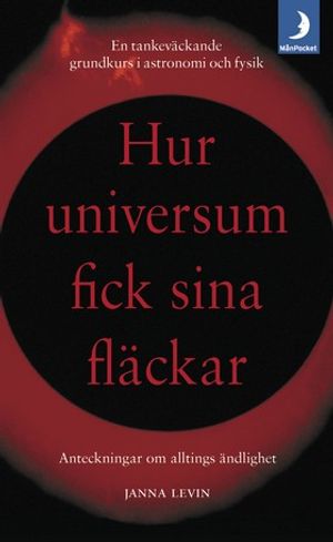 Hur universum fick sina fläckar : Anteckningar om alltings ändlighet