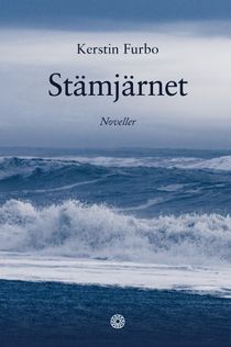 Stämjärnet