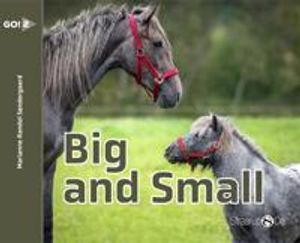 Big and Small | 1:a upplagan