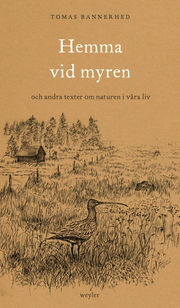 Hemma vid myren : Och andra texter om naturen i våra liv | 1:a upplagan