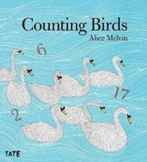 Counting birds