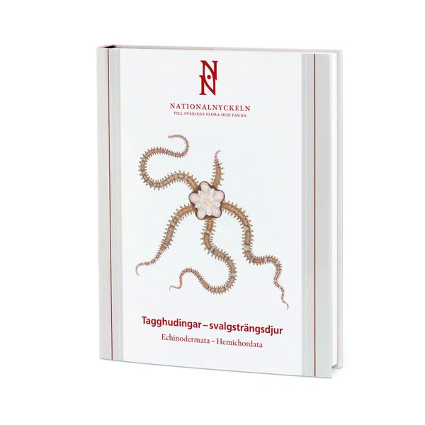 Tagghudingar - svalgsträngsdjur. Echinodermata - hemichordata | 1:a upplagan