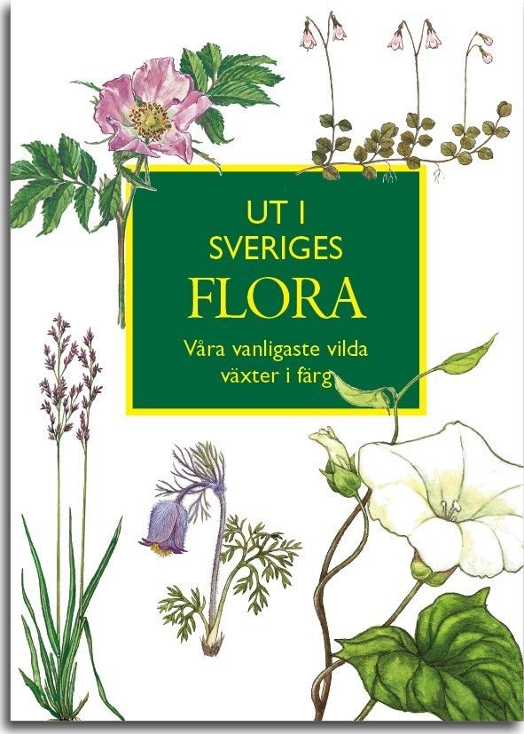 Ut i Sveriges Flora: våra vanligaste vilda växter i färg | 1:a upplagan