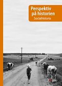 Perspektiv på historien Socialhistoria | 1:a upplagan