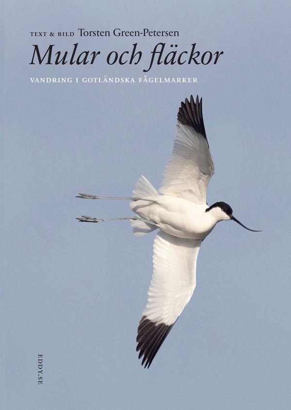 Mular och fläckor | 0:e upplagan