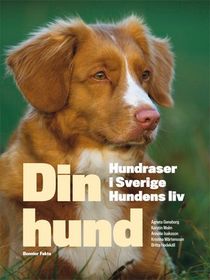 Din hund : hundraser i Sverige - hundens liv